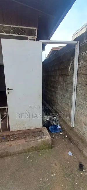 Wooden Doors