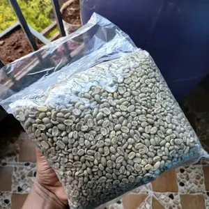 Green Coffee Bean