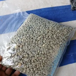 Green Coffee Bean
