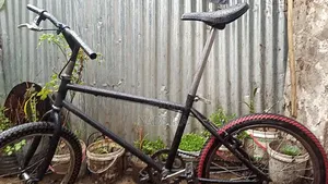 20 Bicycle
