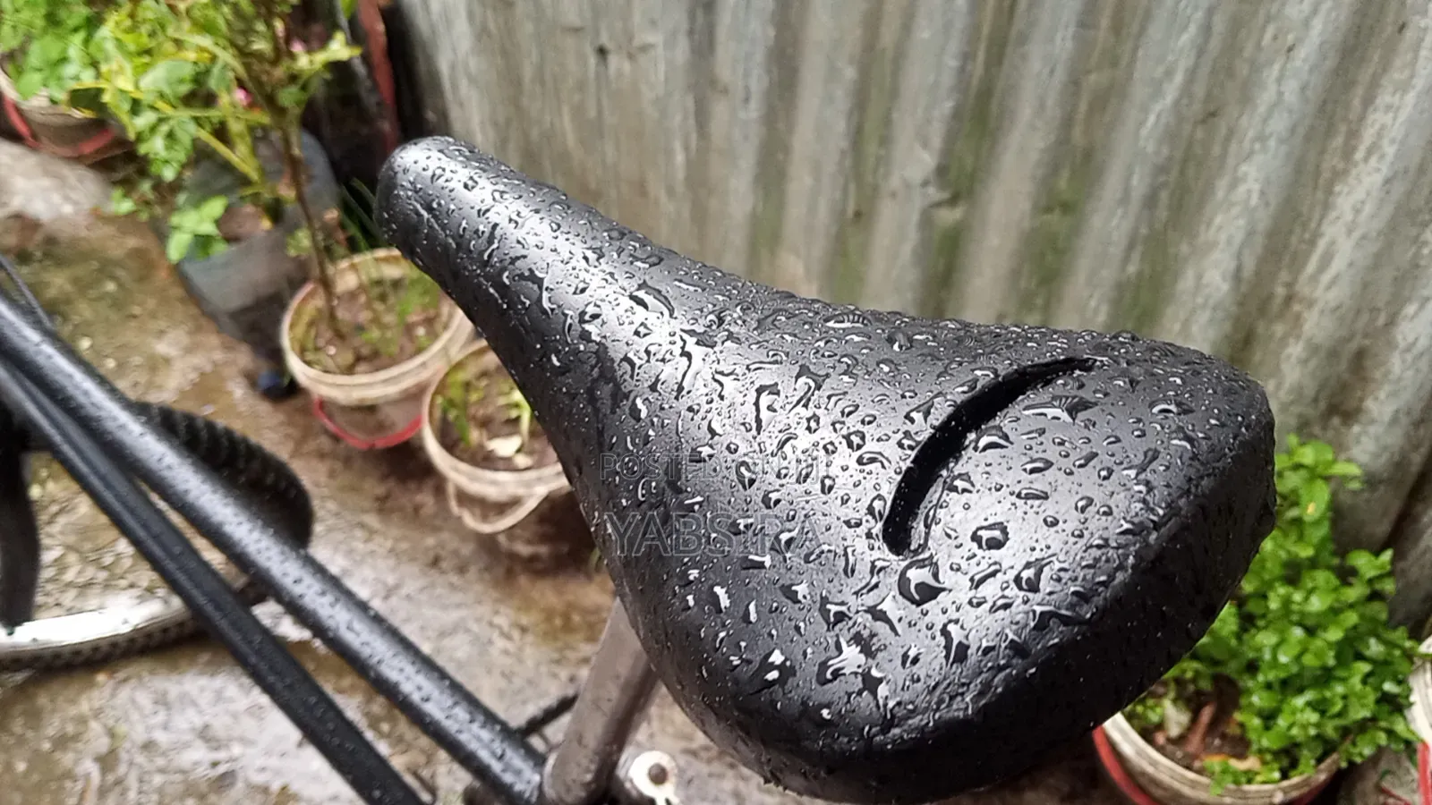20 Bicycle