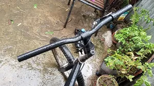 20 Bicycle
