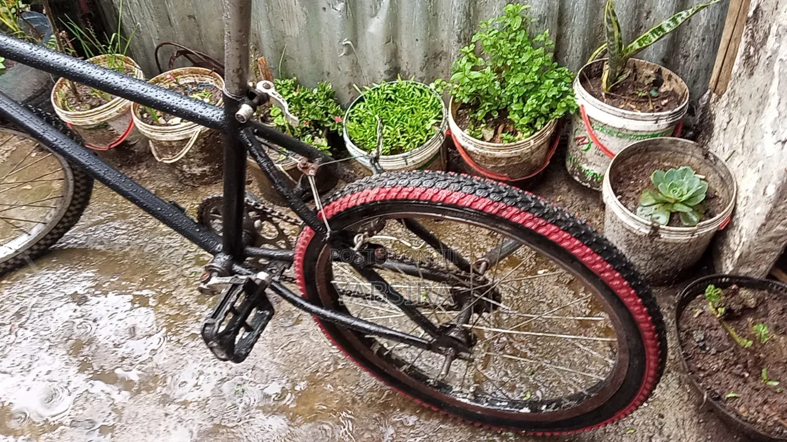 20 Bicycle