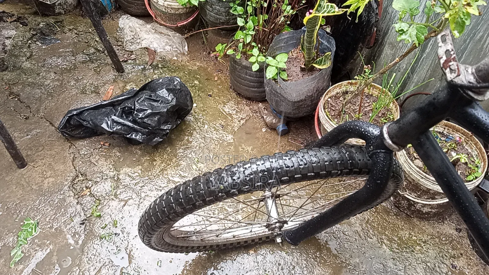 20 Bicycle
