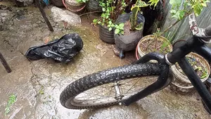 20 Bicycle
