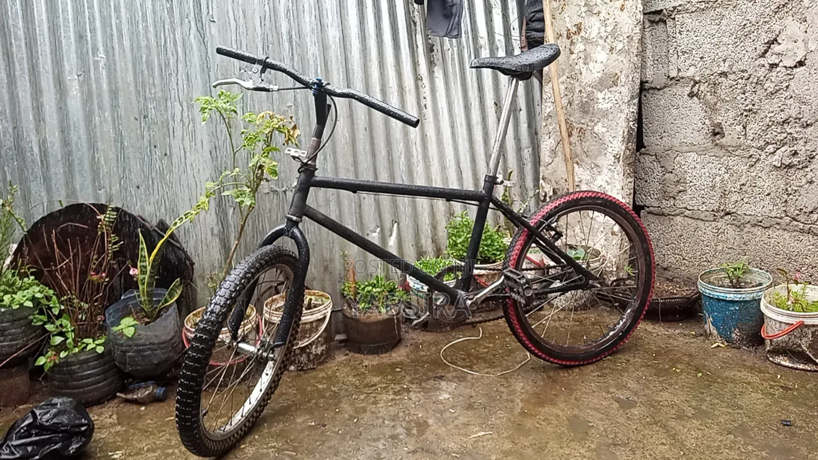 20 Bicycle