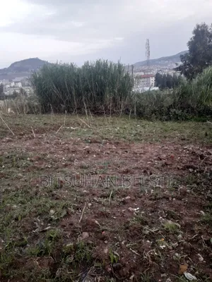 የሚሸጥ ቦታ አዲስ አበባ