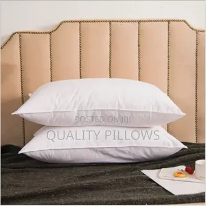 Pillow Softer