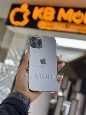 Apple iPhone 12 Pro Max 256 GB Graphite