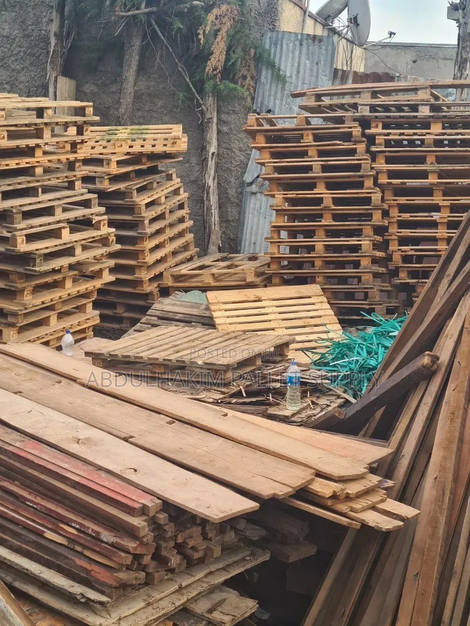 Pallet for Store