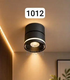 Down Light