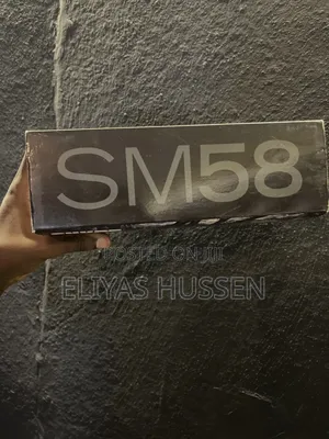 Shure SM58 Wired Mic