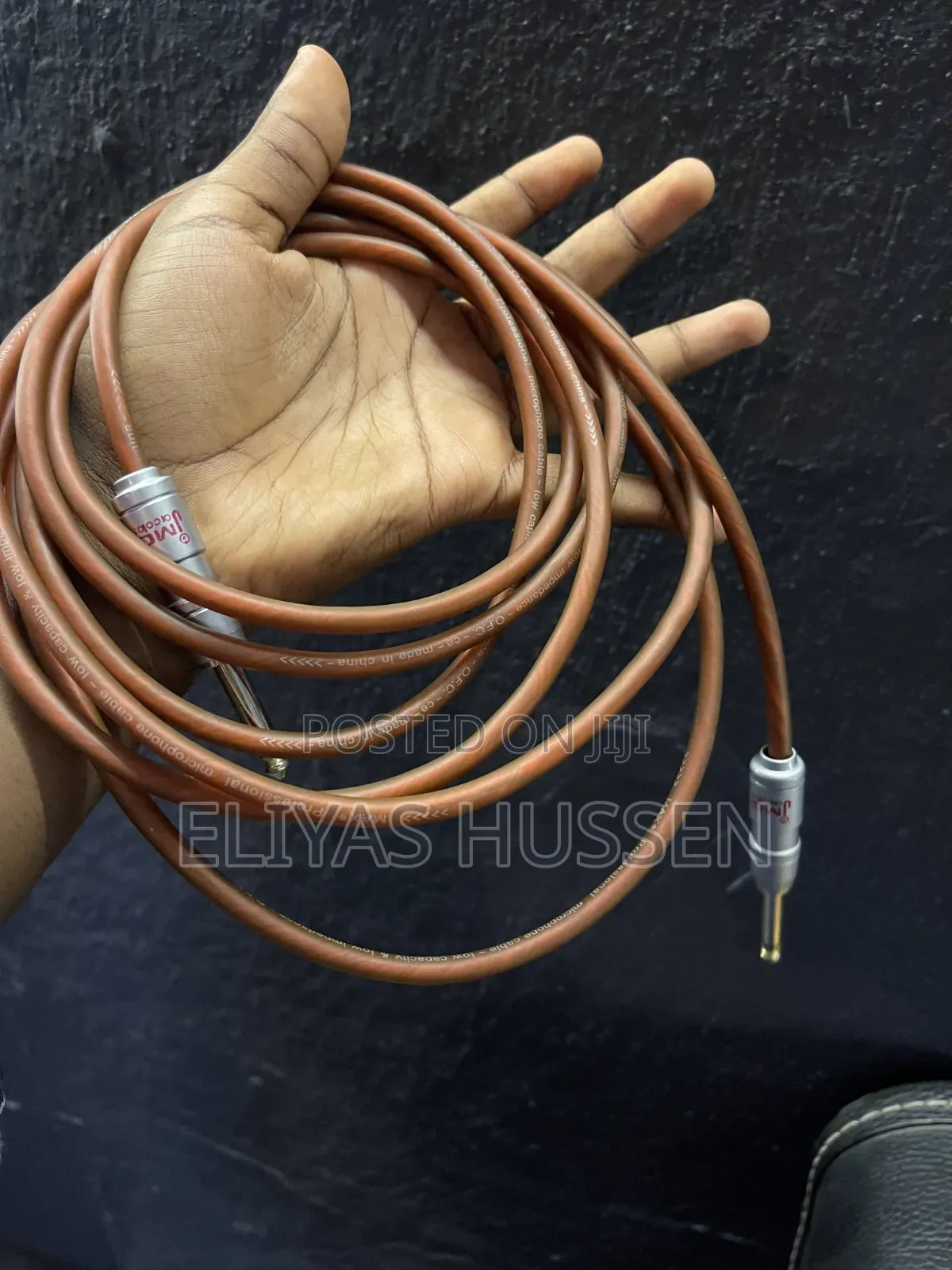 Mic/Instrument Cable