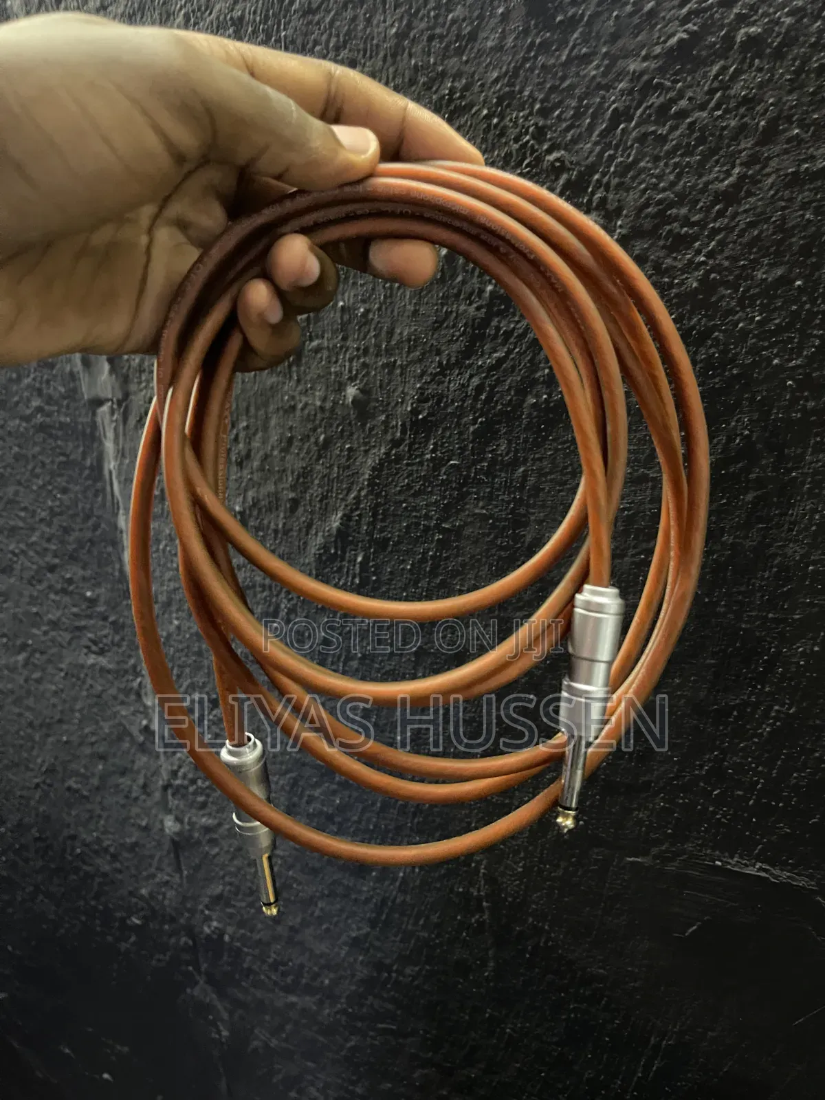 Mic/Instrument Cable