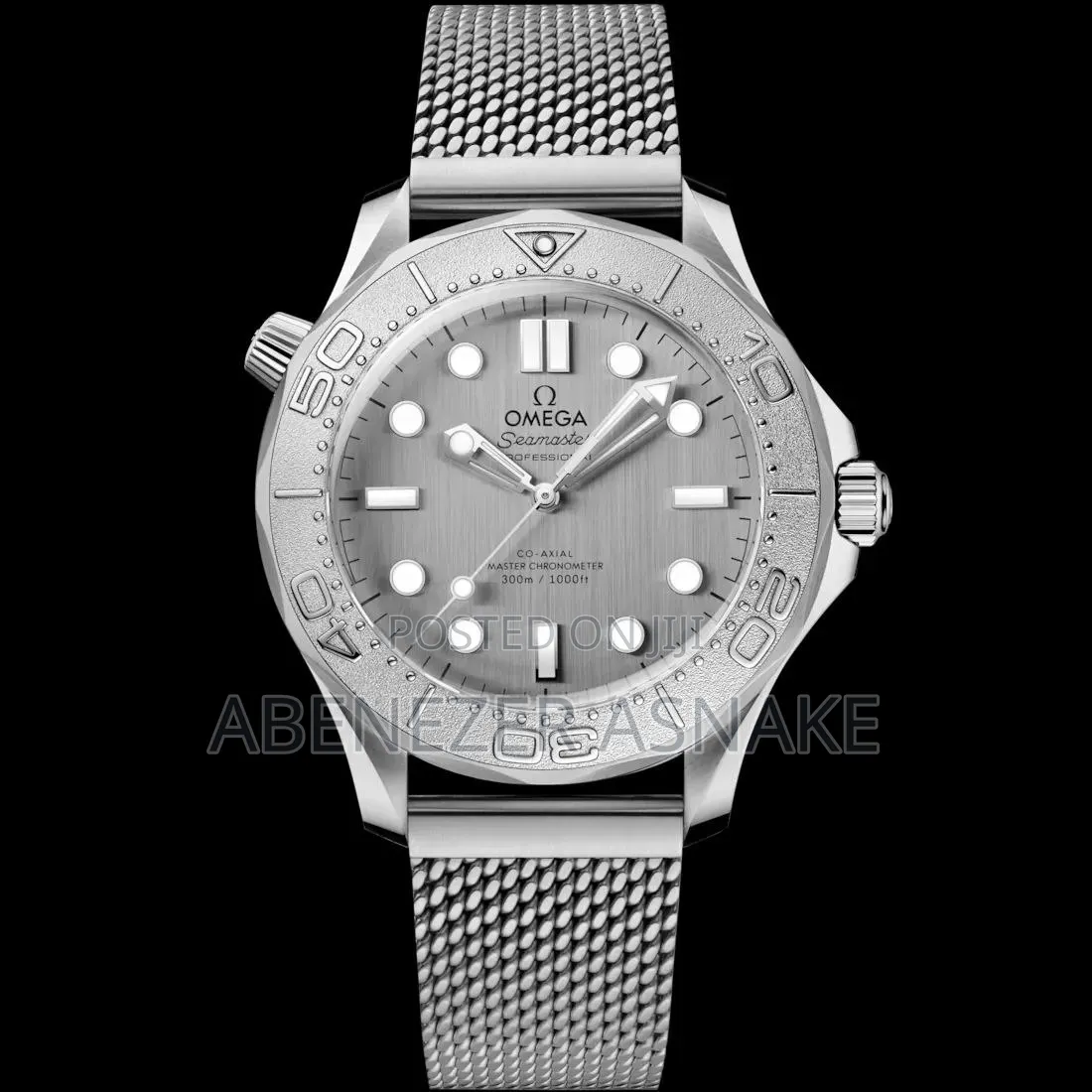 Omega Seamaster Watch