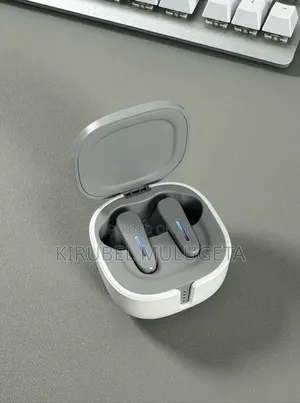 Sibyl Xibier Gold Label WS100 Pro Hi-Res Wireless Headphones
