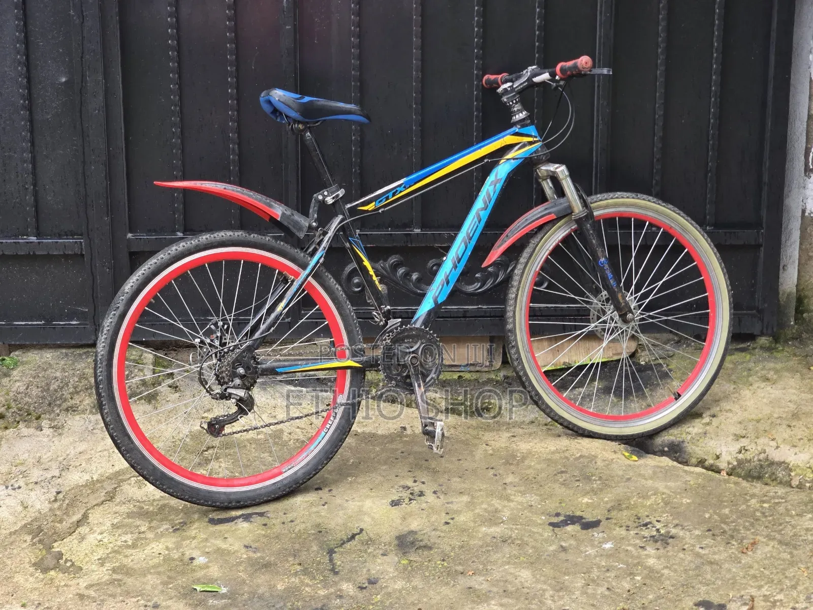 Phoenix Bicycle,ሳይክል,Cycle