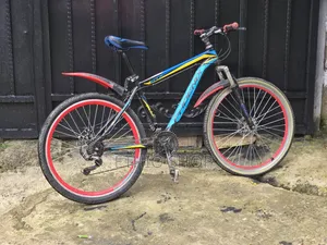 Phoenix Bicycle,ሳይክል,Cycle