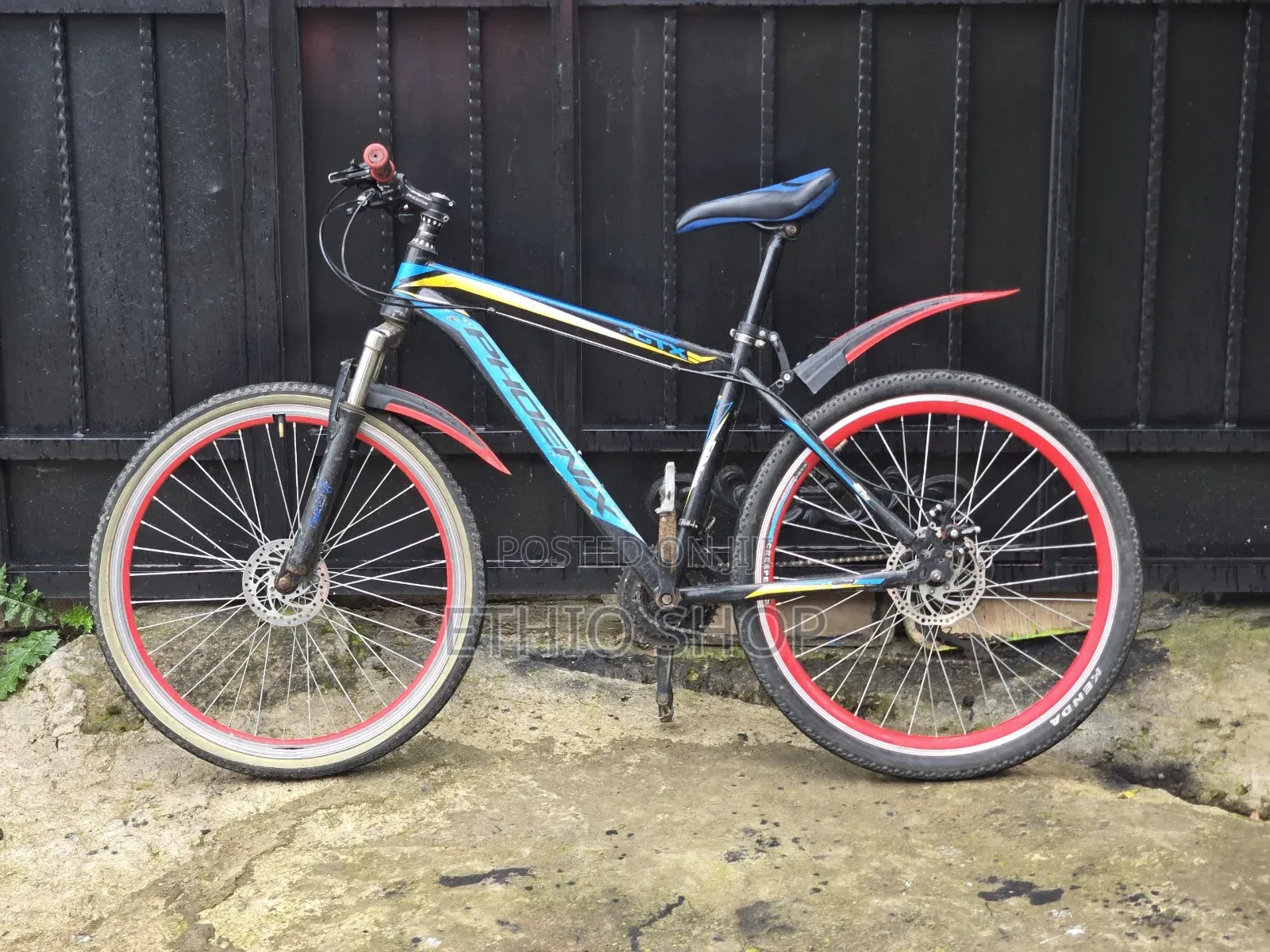 Phoenix Bicycle,ሳይክል,Cycle