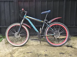 Phoenix Bicycle,ሳይክል,Cycle