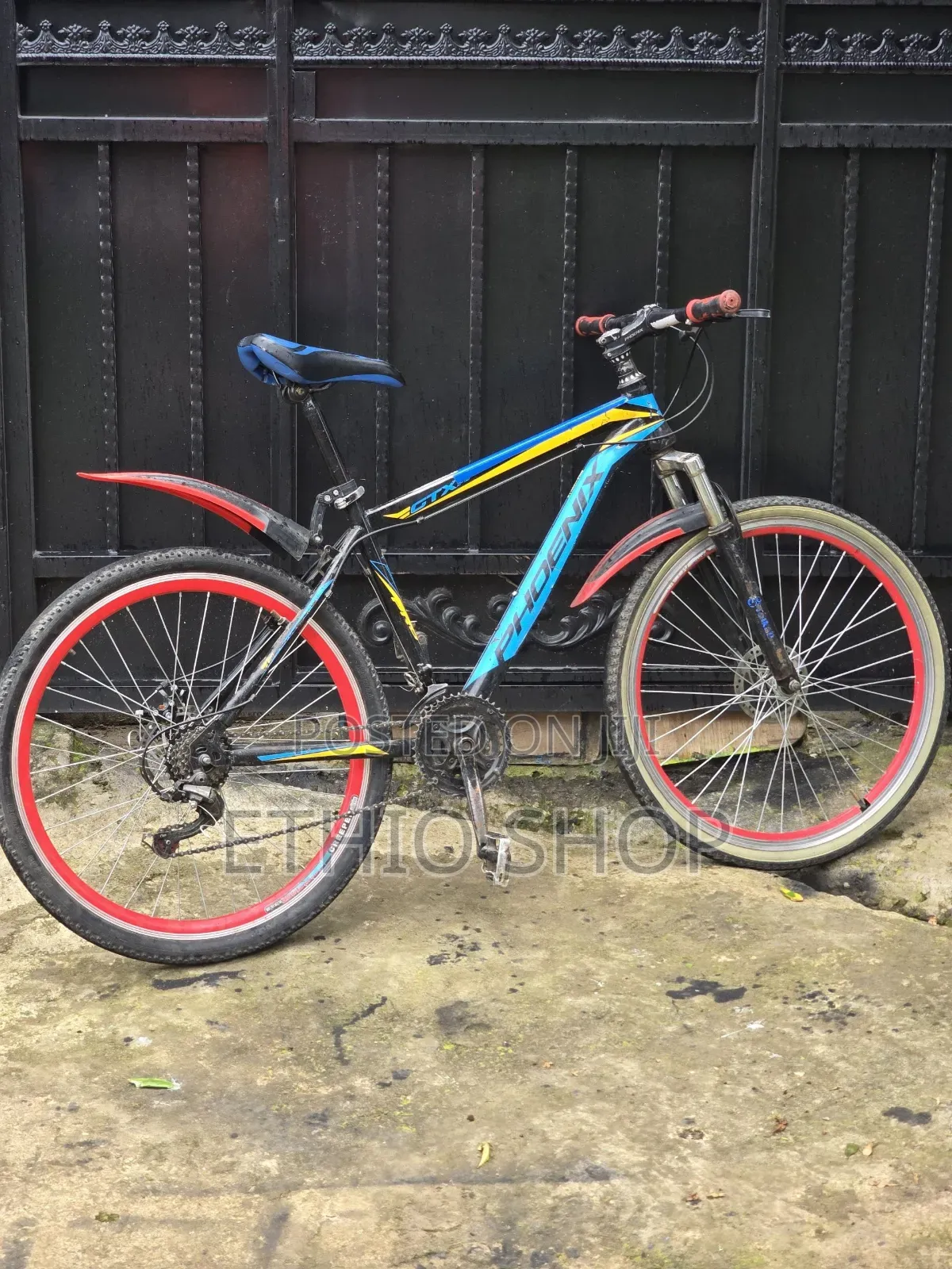 Phoenix Bicycle,ሳይክል,Cycle