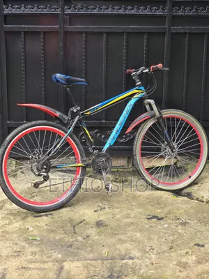Phoenix Bicycle,ሳይክል,Cycle