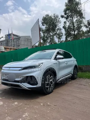 New BYD Yuan Plus 2024 Gray