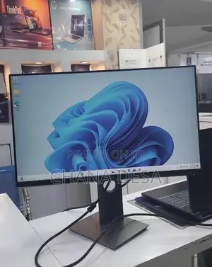 Dell Monitors