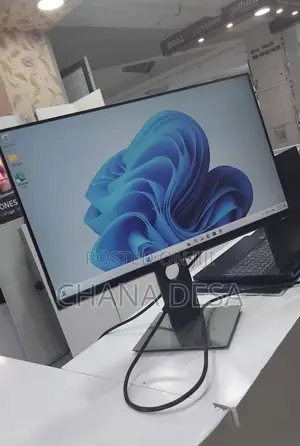 Dell Monitors