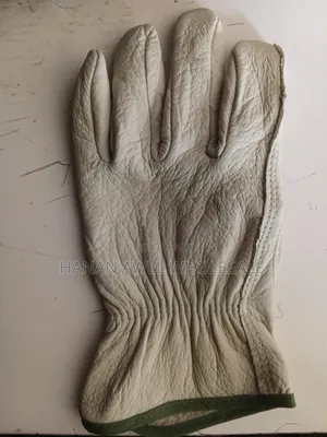 Leather Glove