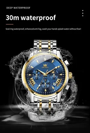 OLEVS 2892 Luminious Multifunctional Male Watch