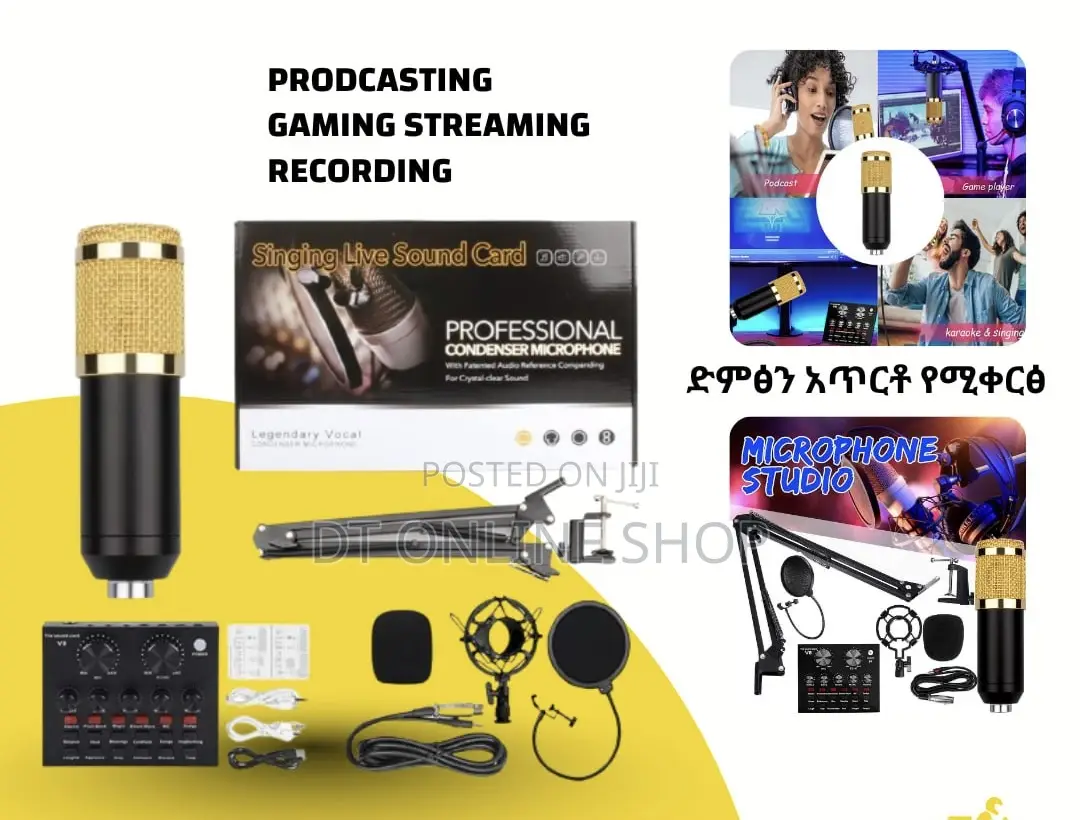 Professional Microphone