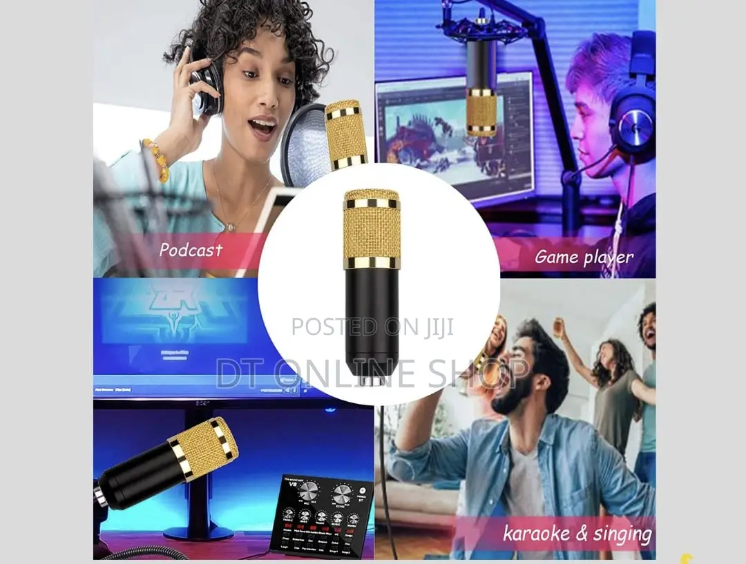 Professional Microphone