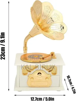 Elegant Vintage Garmophone Music Box
