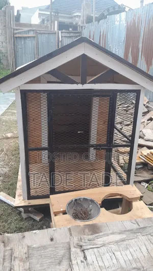 Kebede Dog House Work