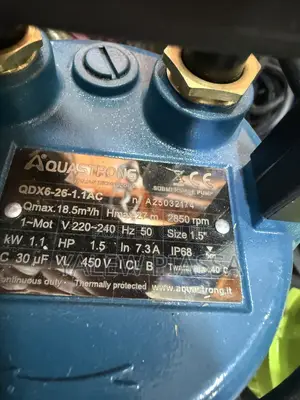 QDX 1.5 Aqustrong Pump