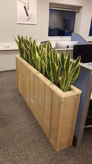 Plant Stands