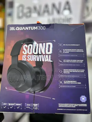 JBL Head Phone
