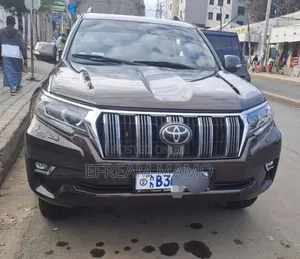Toyota Land Cruiser 2019 Brown