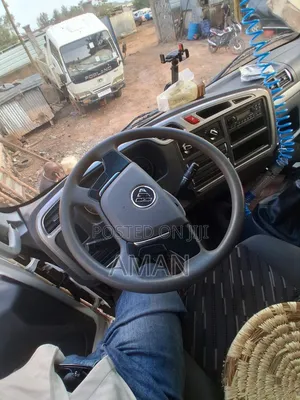 Foton Auman