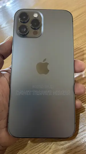 Apple iPhone 12 Pro Max 256 GB Gray