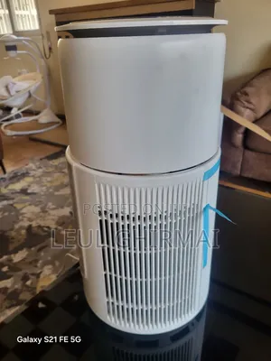 Bomidi Air Purifier