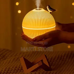 Lark Air Humidifier With LED Light