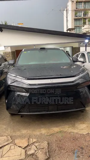 New BYD Tang EV 2025 Black