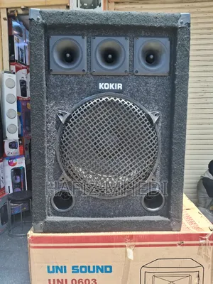 Max 1239 Professional Wireless Speaker