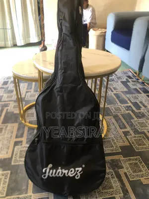 Acoustic Guitar