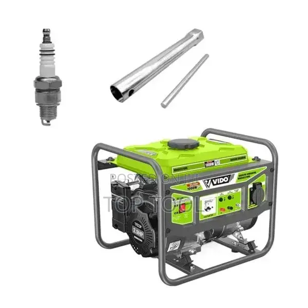 ,Vido Branded Gasoline Generator,3000w