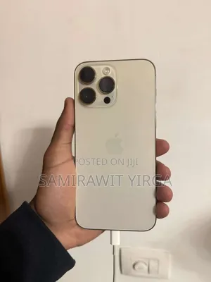 Apple iPhone 15 Pro Max 256 GB Gray