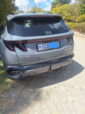 Hyundai Tucson Limited 2024 Gray