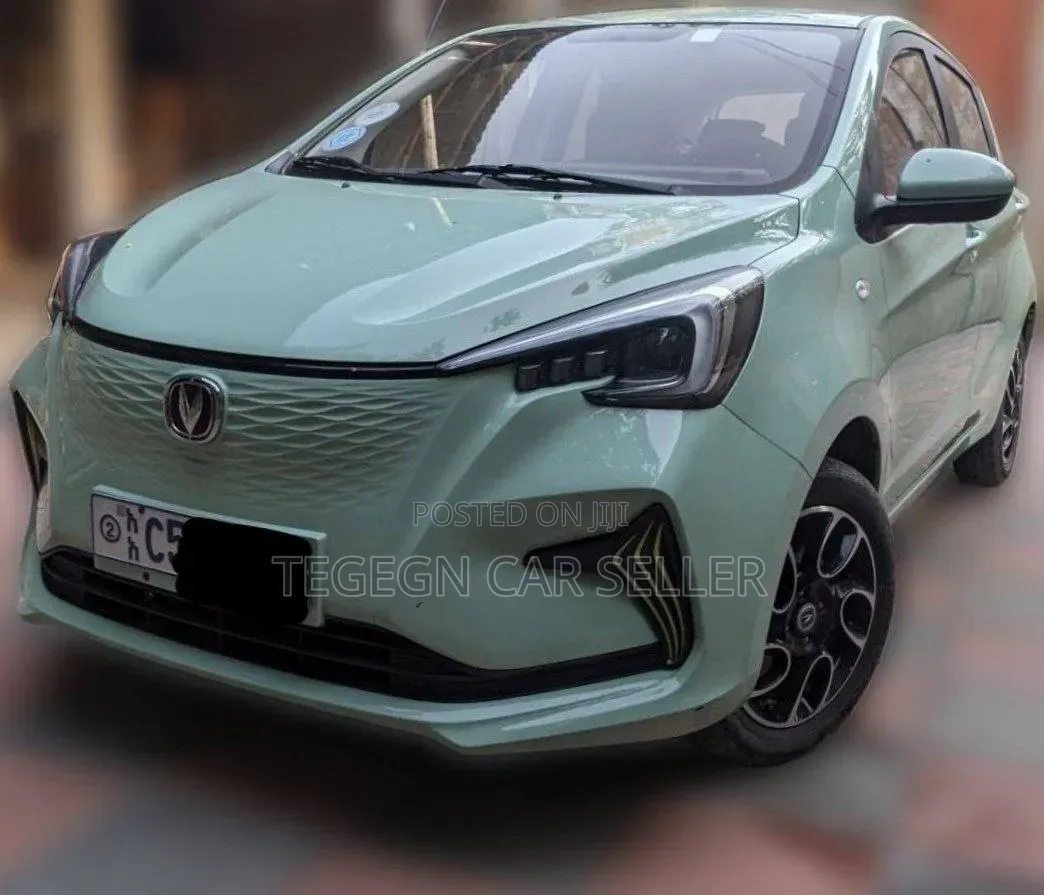 Changan BenBen E-Star 2023 Gray